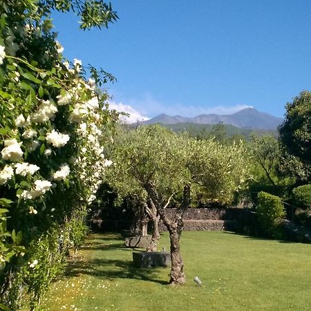 Casa Vacanze Prato Verde 扎费拉纳-埃特内阿 外观 照片