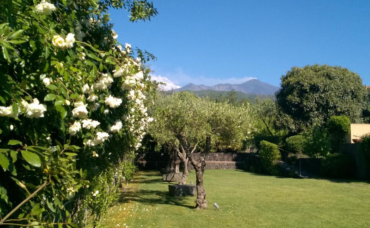 Casa Vacanze Prato Verde 扎费拉纳-埃特内阿 外观 照片